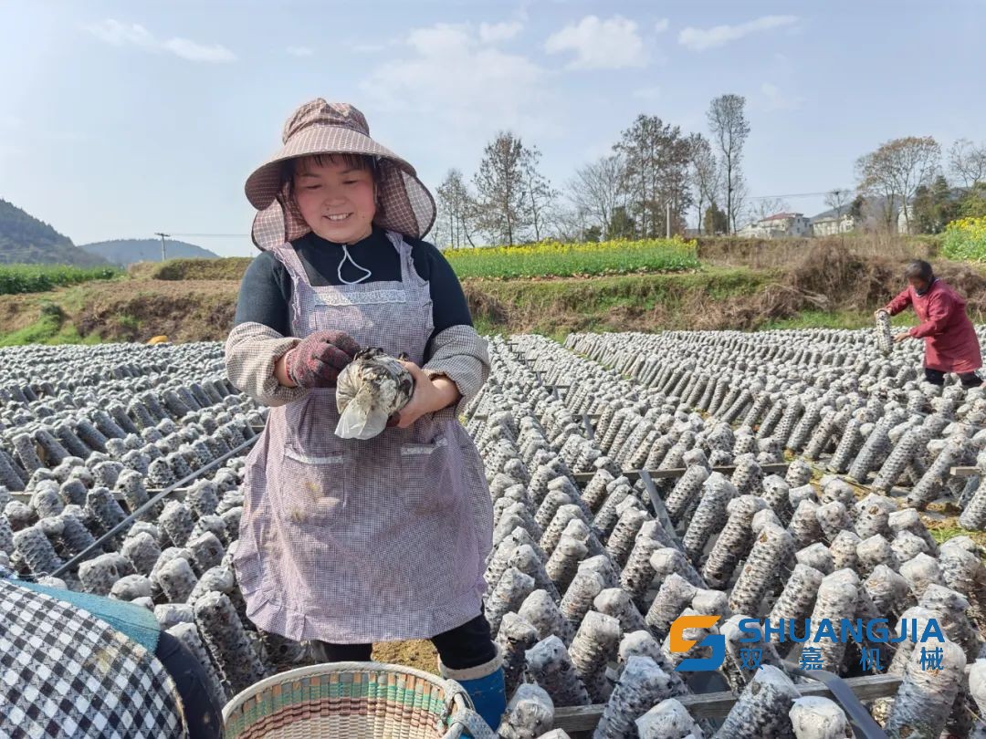 1656901815127035.jpg 342.jpg