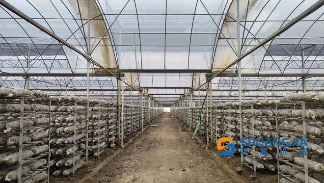 1658540931209765.jpg 11-20-26-35-283825.jpg