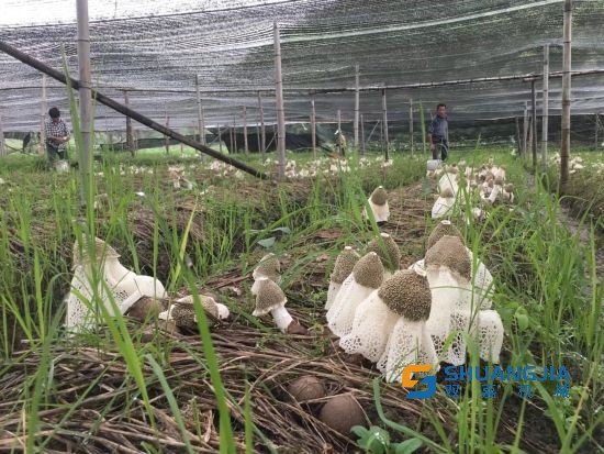 1659326899866033.jpg 11-40-54-49-283825.jpg