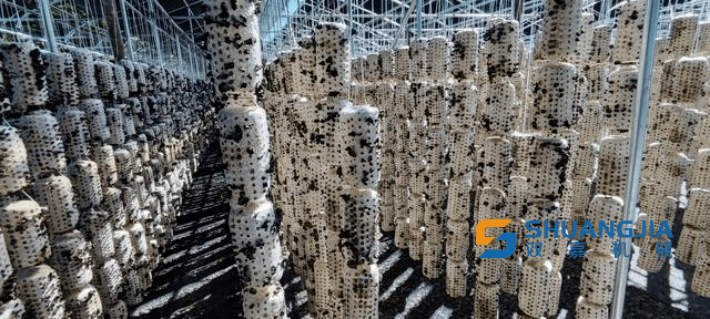 1660041476209581.png 14-51-20-99-283825.png