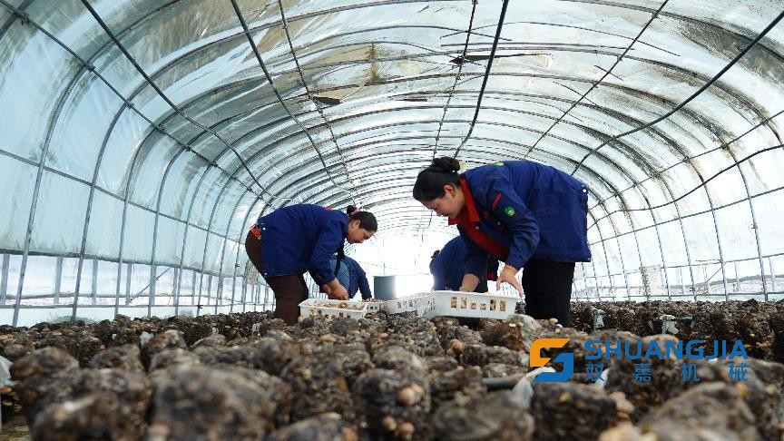 1661234251372506.jpg 09-34-24-51-283825.jpg