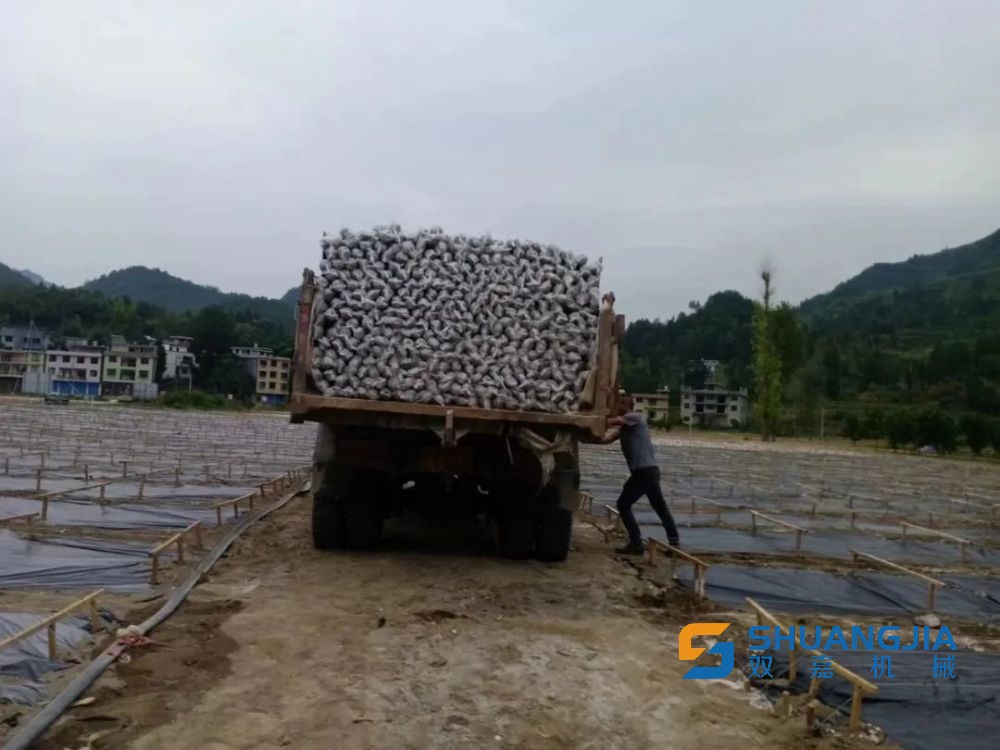 1662622998123996.jpg 1000.jpg