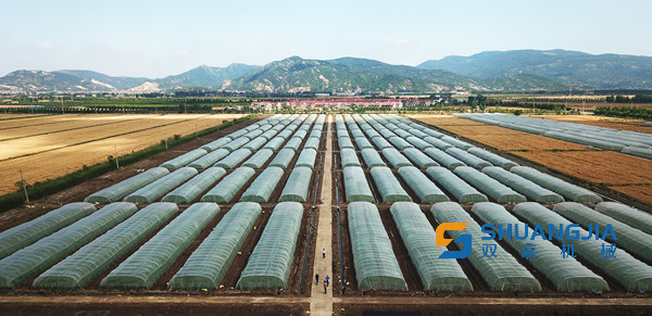 1678622306282073.png 09-48-37-89-451102.png